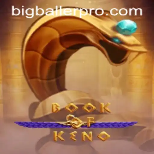 Exploring the Exciting World of BookOfKeno and the BigBaller Pro Experience