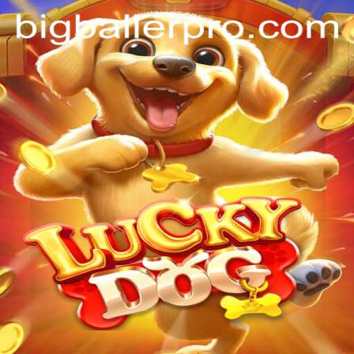 Exploring the Exciting World of LuckyDog: Dive into BigBaller Pro